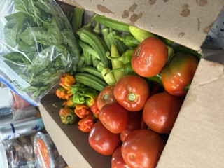 Experimental farm produce