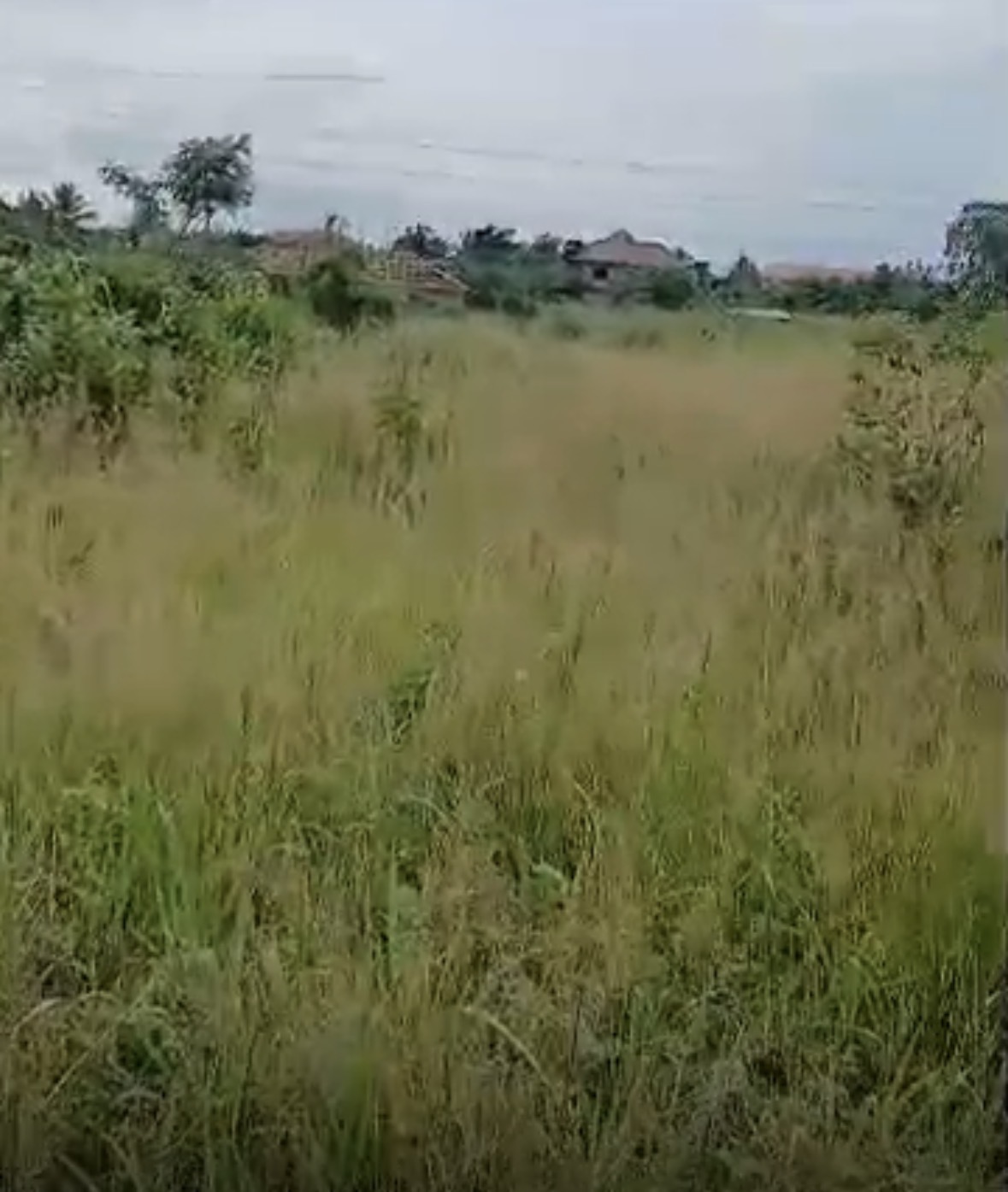 Land Project site KKTUMI